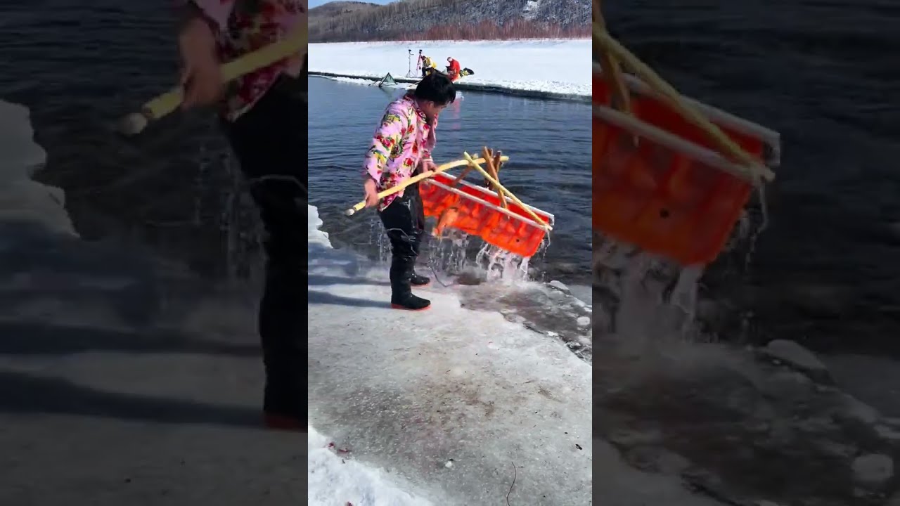 Fishing In Mohe The Northeast Joy Of Outdoor Wild Experiencex 433