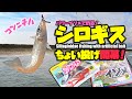 【シロギス開幕】パワーイソメでちょい投げろ!波のある日は湾内を足元まで攻めるべし!