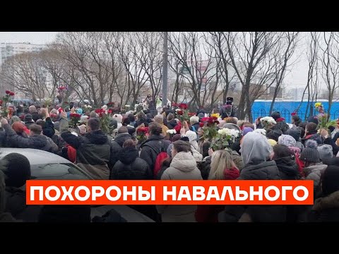 Похороны Алексея Навального. Люди идут на кладбище