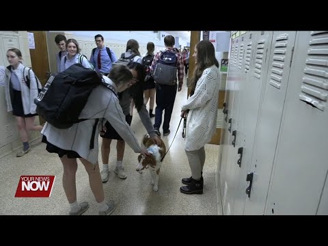 Therapy dog named Hope boosts morale at Lima Central Catholic High School