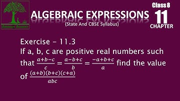 Class 8 Algebraic Expressions Exercise - 11.3