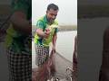 "ট্যাংরা মাছের সাইজটা হয়েছে ধম্মের ষাড়"!#foryou #viral #shorts #fish #fishing #fishcatching#handfish