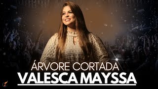 Valesca Mayssa | Os Melhores Clipes - [DVD Árvore Cortada]