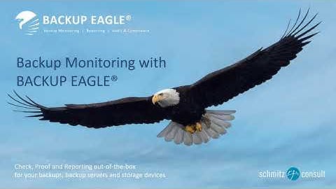 Backup Monitoring with BACKUP EAGLE®