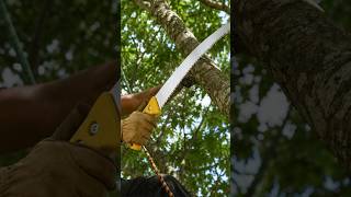 Jameson Hard Scabbard Climbing Saw | One Blade System, Less Hassle