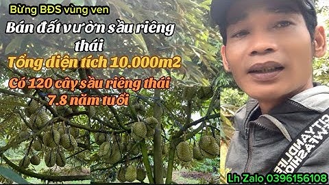 Chị bẩy cần bán gấp lô đất vườn trái cây để cưới vợ cho con trai út bán Gia rẻ 
