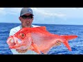 RARE DEEP WATER FISH ( ALFONSINO ) Catch Clean and Cook