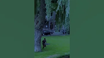صباح بغاشه 