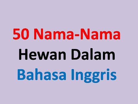 50 Nama Nama Hewan Dalam Bahasa Inggris Untuk Anak-Anak -Belajar Bahasa Inggris