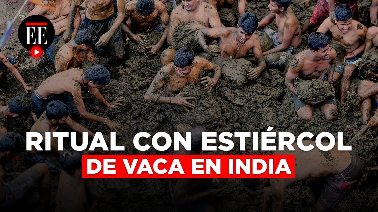 La Vacaca Ritual Batalla de estiércol de vaca: el ritual para prevenir enfermedades en ...