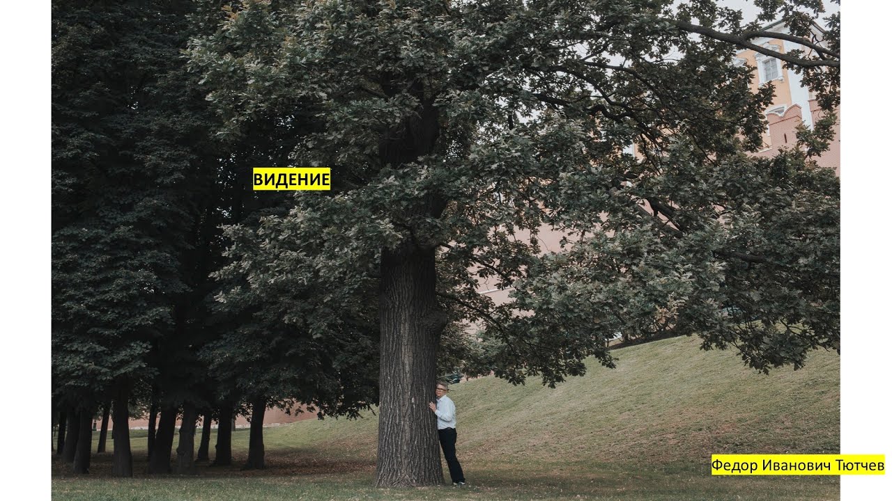 #стихи #поэзия #жизнь Поэзия навсегда. 103. Ф.И. Тютчев "Видение ...