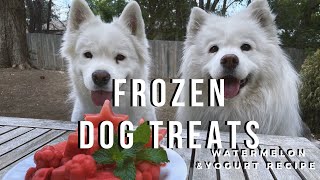 Watermelon Yogurt Dog Treat Recipe | With Samoyeds! by Kait 1,953 views 3 years ago 8 minutes, 2 seconds