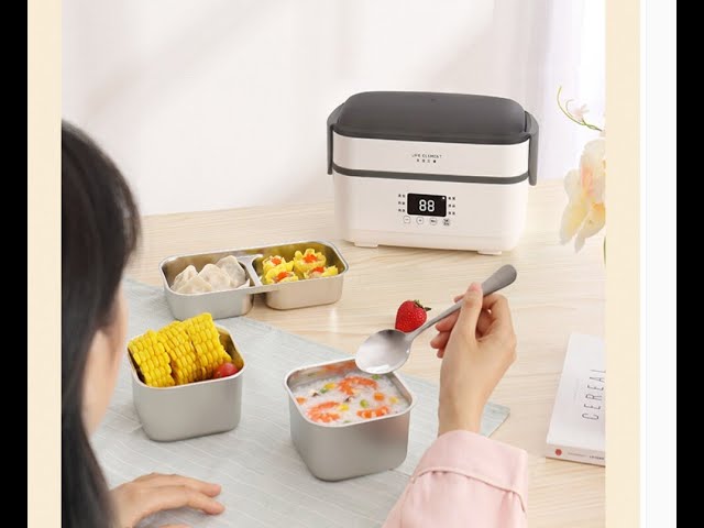 Bear Heated Lunch Box Electric Lunch Box Insulated Lunch Box Portable Hot Lunch  Box for Office Workers To Steam Rice on The Go - AliExpress