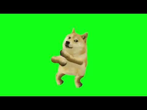 Dog Dance Funny Meme Green Screen.