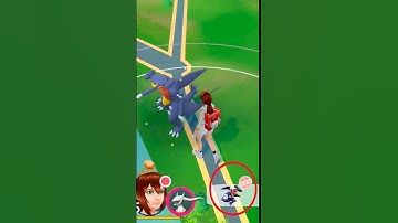 Rare Wild Spawn Gave Me Hundo Garchomp #shorts #dragon #rare #spawn #ultragoo #catch #hundo