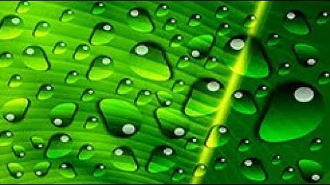 CorelDraw Tutorial  |  How to create REALISTIC WATER DROP EFFECT