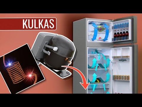 Video: Cara Menyamarkan Kulkas Di Interior
