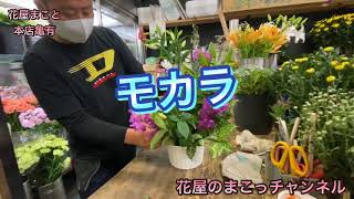 【葛飾区亀有の花屋が作る！お誕生日！お任せ！フラワーアレンジメント！今回は赤ピンク系で作りました！】花屋のまこっチャンネル@亀有の花屋「花屋まこと」