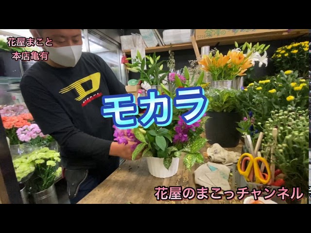 東京花屋 For You カメラマンのお父さんへ誕生日祝いに花束をプレゼント 花屋のまこっチャンネル Youtube