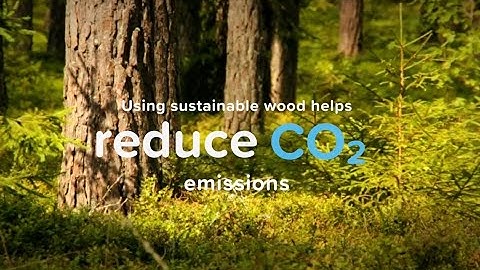 Wood Co2ts Less campaign film