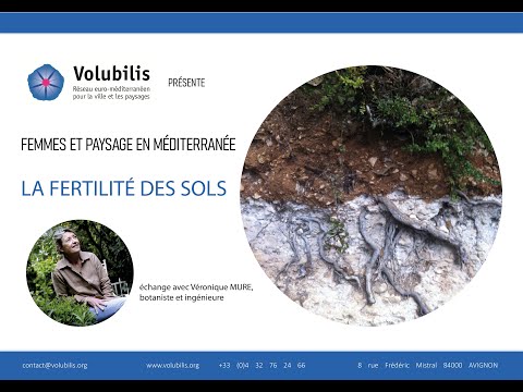 Femmes et paysage en Méditerranée - Véronique Mure - La fertilité des sols - 3/12/2020