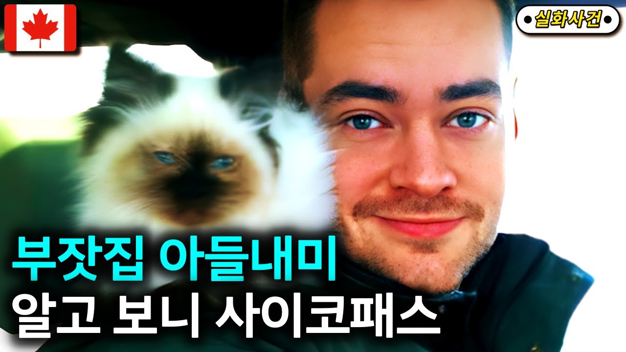 [해외사건] 하나의 사건으로 새롭게 밝혀진 두 건의 사건