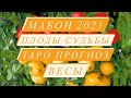 МАБОН. ПЛОДЫ СУДЬБЫ. ♎️ВЕСЫ♎️. СЕНТЯБРЬ 2021.