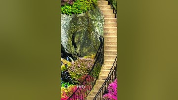 #بلغوا_عني_ولو_آية #اسلامية #آيات #آية #تيك_توك #قران_كريم #tiktok #explore