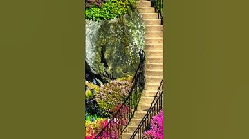 #بلغوا_عني_ولو_آية #اسلامية #آيات #آية #تيك_توك #قران_كريم #tiktok #explore