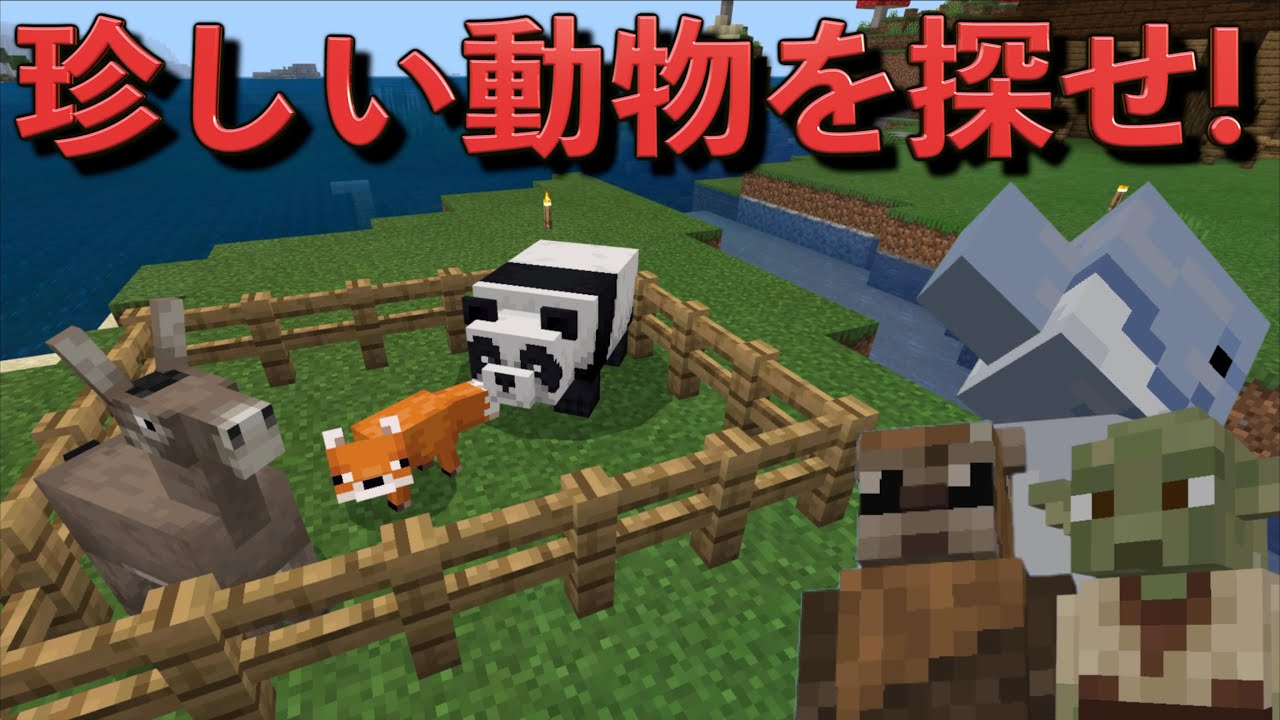 珍しい動物を連れて来い選手権 で まさかの動物を連れて来た奴がいたんだがw マインクラフト Youtube