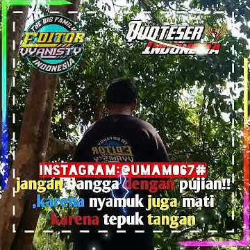 Quentes dj pong pong