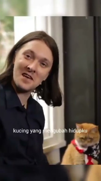 bob cat kucing pintar yang baik || kucing bob