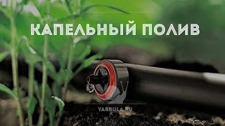 Капельный полив. Просто и бюджетно