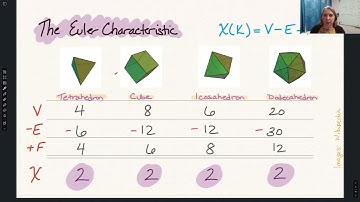 Elizabeth Munch, Comparing Embedded Shapes Using Topological Summaries, 2024.03.26
