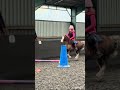 Fun morning swapping ponies. #pony #jumping