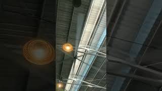 Download Lagu Pesawat Kertas 365 hari (365 nichi no kamihikouki) JKT48 (Deri Cover) MP3