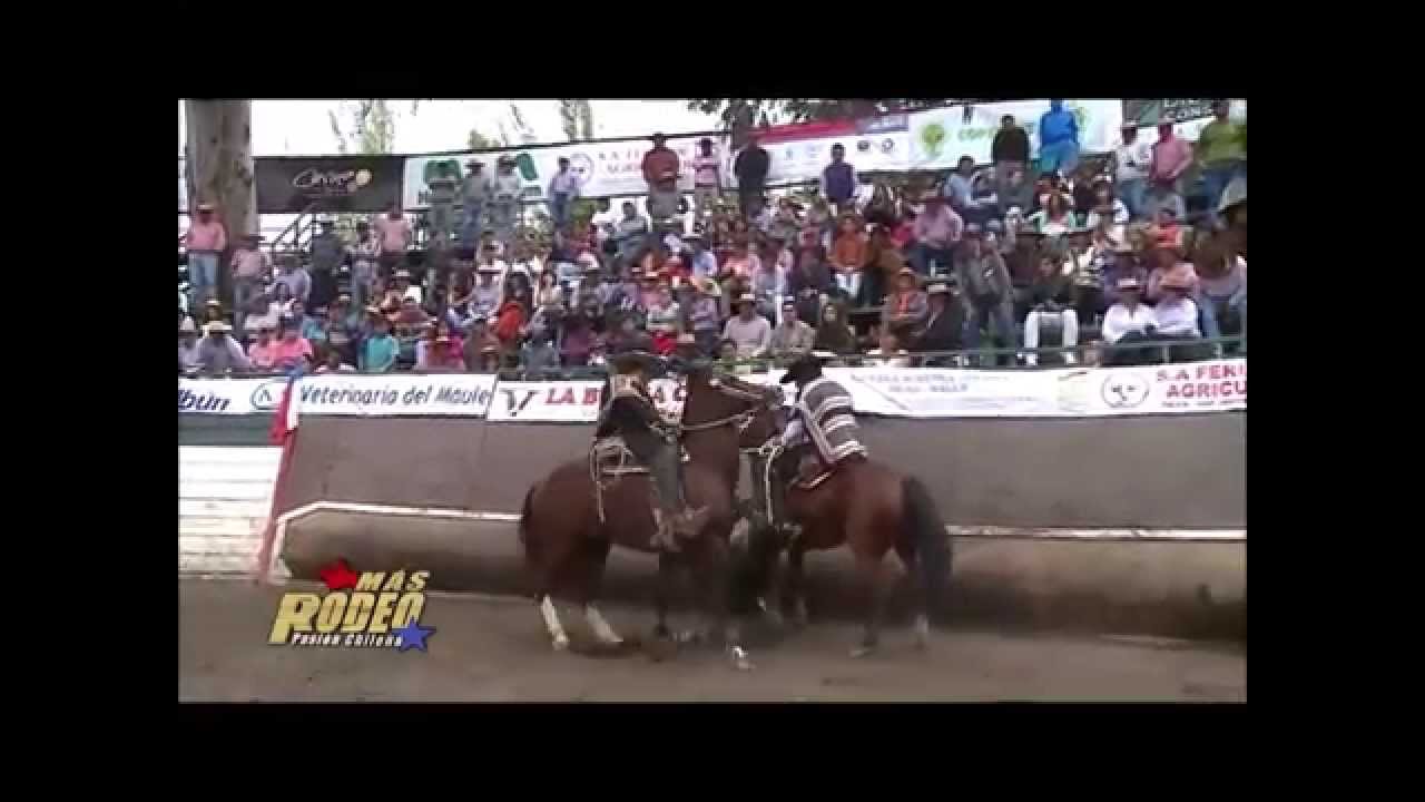 Campeones Nacional Fenaro 2015