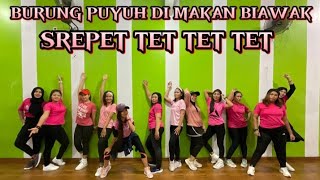 Senam kreasi Burung puyuh di makan biawak Dj Imut // choreo by Endang Atya @sanggarsenamatya8917