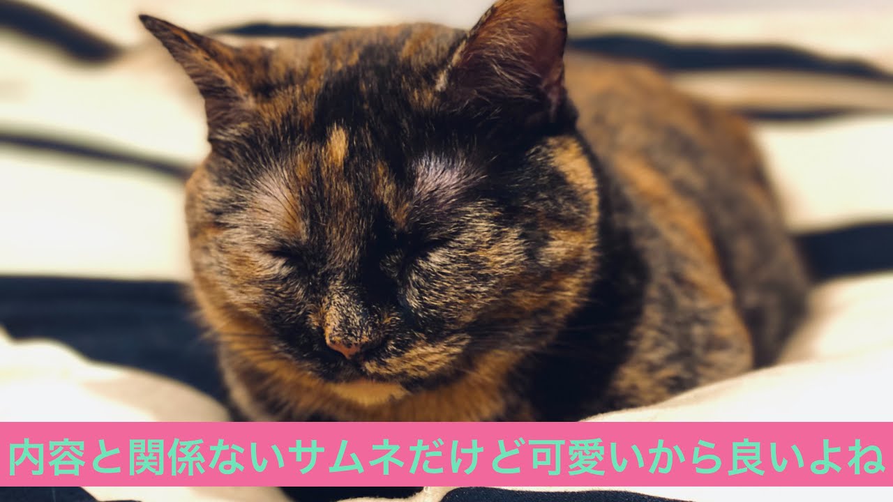 【ラジオ】またプロセカの話してるよこの人たち