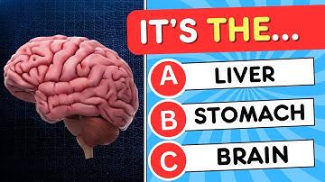 🧠 Can You Pass This Human Body Quiz? 🧍💪🧬 General Knowledge Quiz