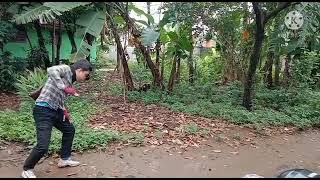 editan ajian rengka gunung
