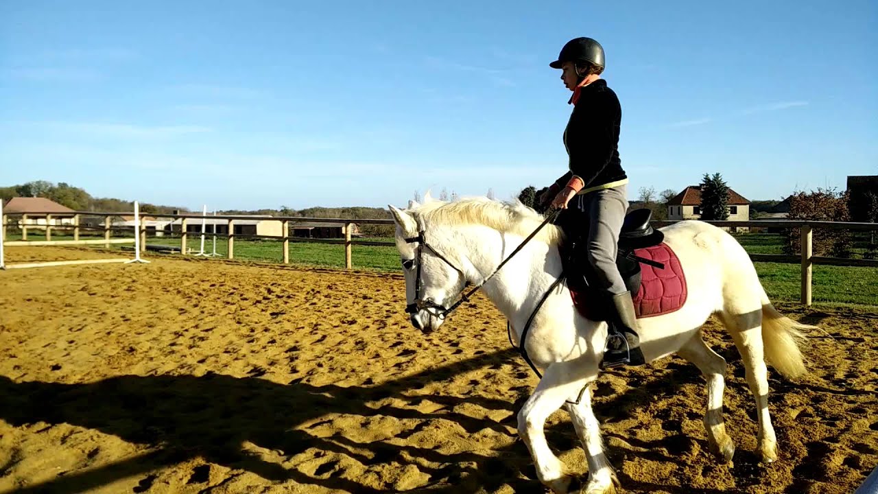 Video Muse d'Aspe - 22/11/2105