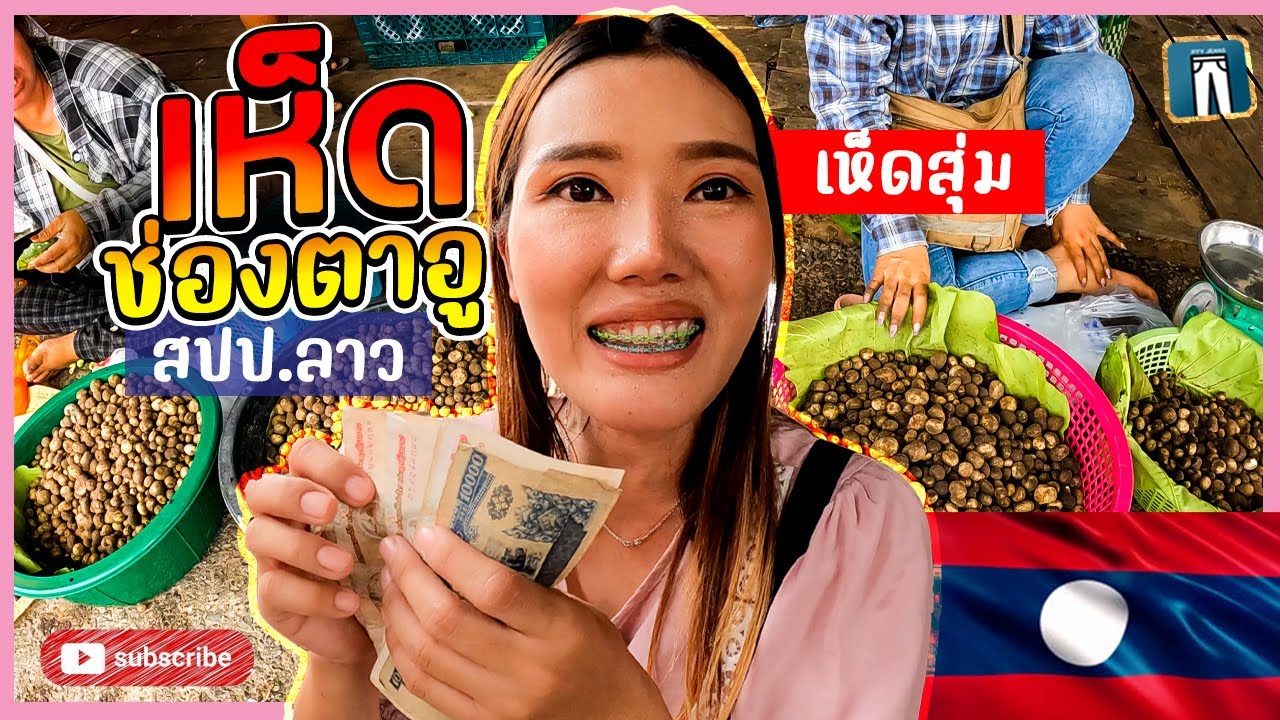 🇱🇦ช่องตาอูฤดูฝนที่สปป.ลาว อาหารป่า มีสิ่งนี้เยอะมาก