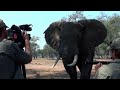 Safari Classics Productions Reel