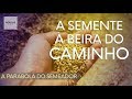 A Semente Que Caiu A Beira Do Caminho!