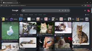 CS50 Web - project 0: Google search page