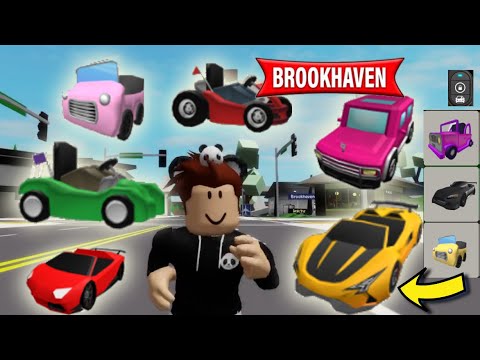 Got Brookhaven secret miniature cars (id codes) 