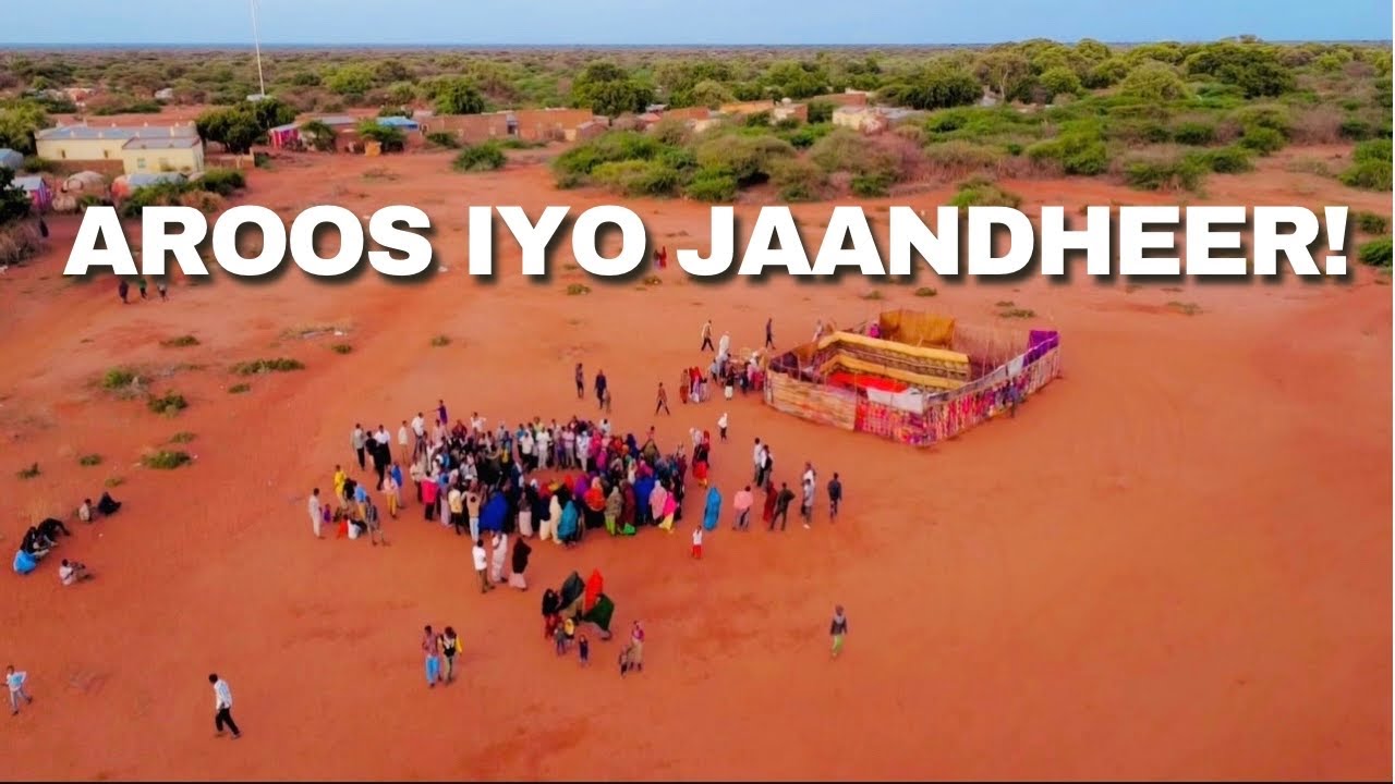 AROOS MIYI: JAANDHEERTII SAXDA AHYD AYAA LAGA TUMAYAA AROOSKAN.