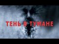 Тень в тумане