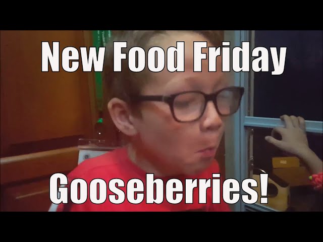 New Food Friday | Taste Test | Gooseberries